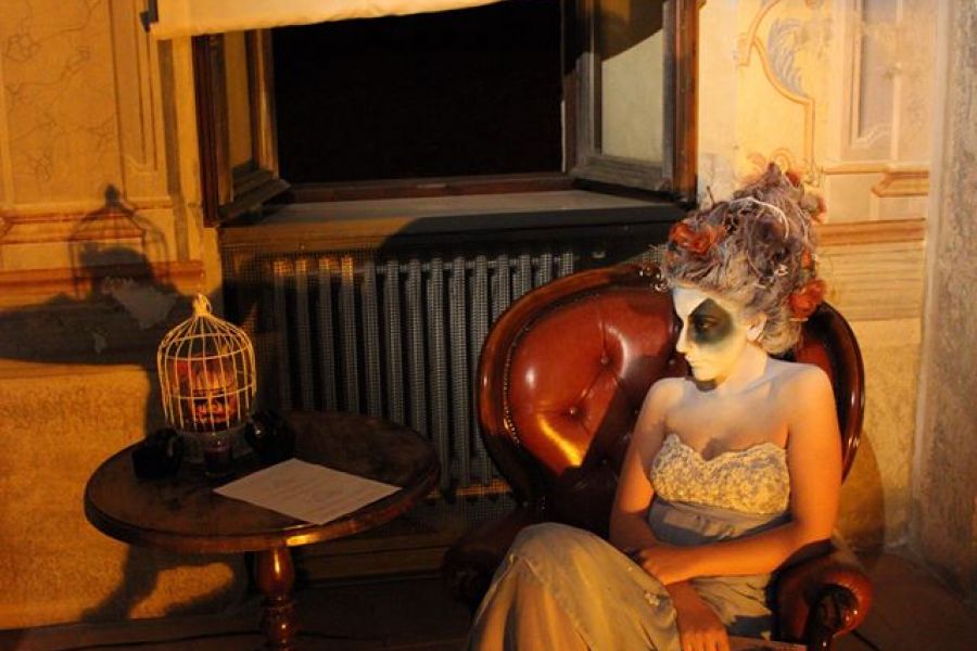 1117851974942962 7267720178891786001 n